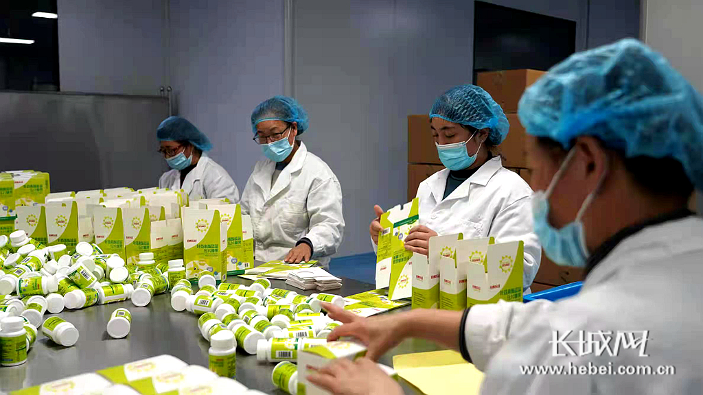 晨光生物旗下邯鄲晨光公司 保健食品固體制劑車間茶葉制品生產(chǎn)探析